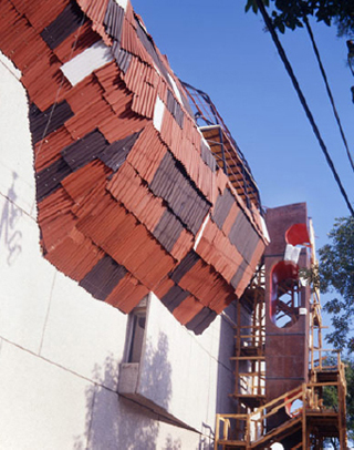 Paracaidista, Intervenci&oacute;n, 2003.